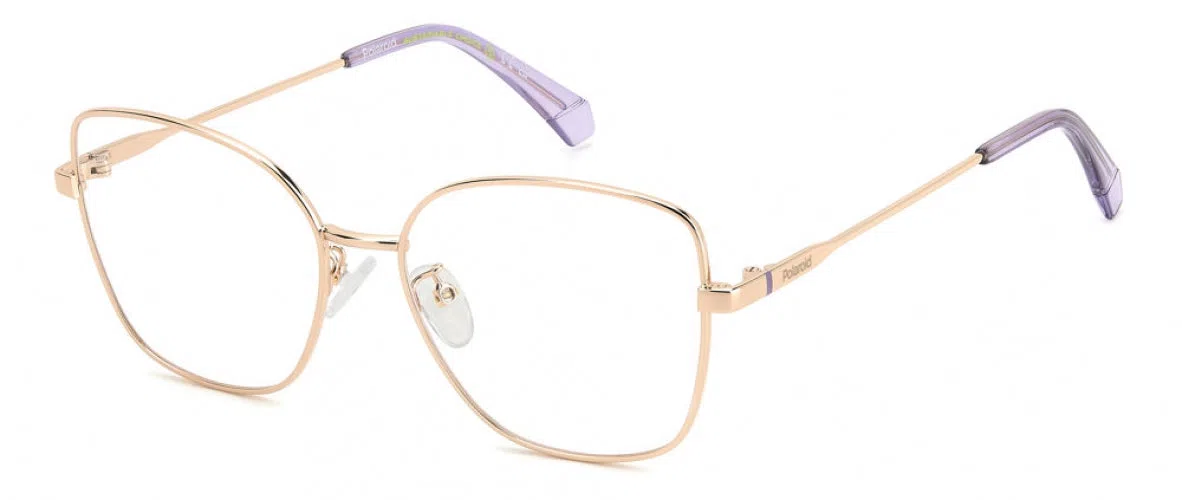 Polaroid Core PLDD521 Eyeglasses
